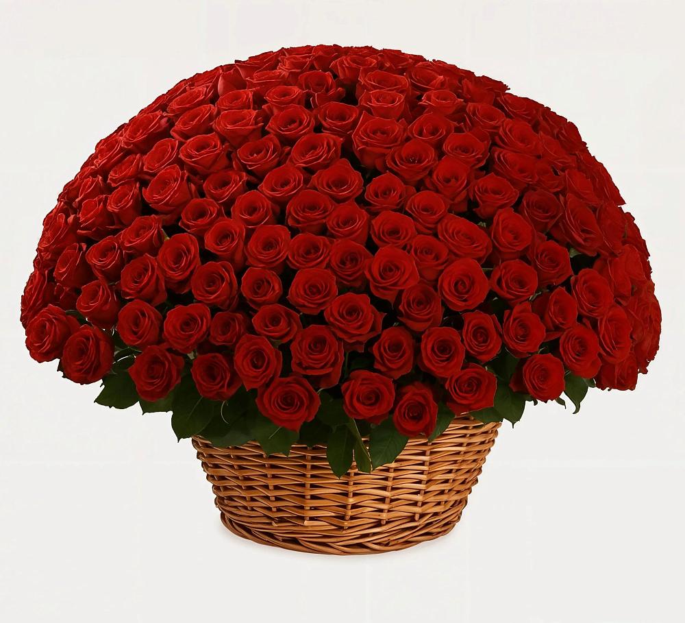 251 Премиум красная роза в Калаче Премиум букет из: Розы в Калаче
