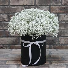 Цветочная композиция из Гипсофила в шляпной коробке в Калаче